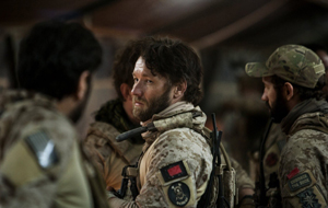 ���� ����� ����